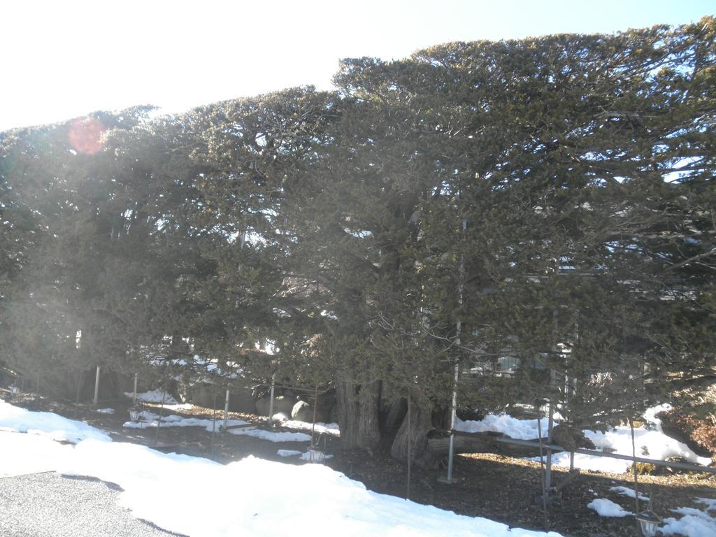Haranoya Hotel Oshino Luaran gambar